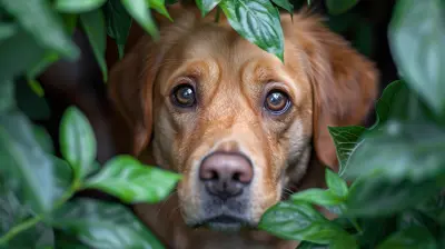 The Role of Pets in Easing Childhood Anxiety