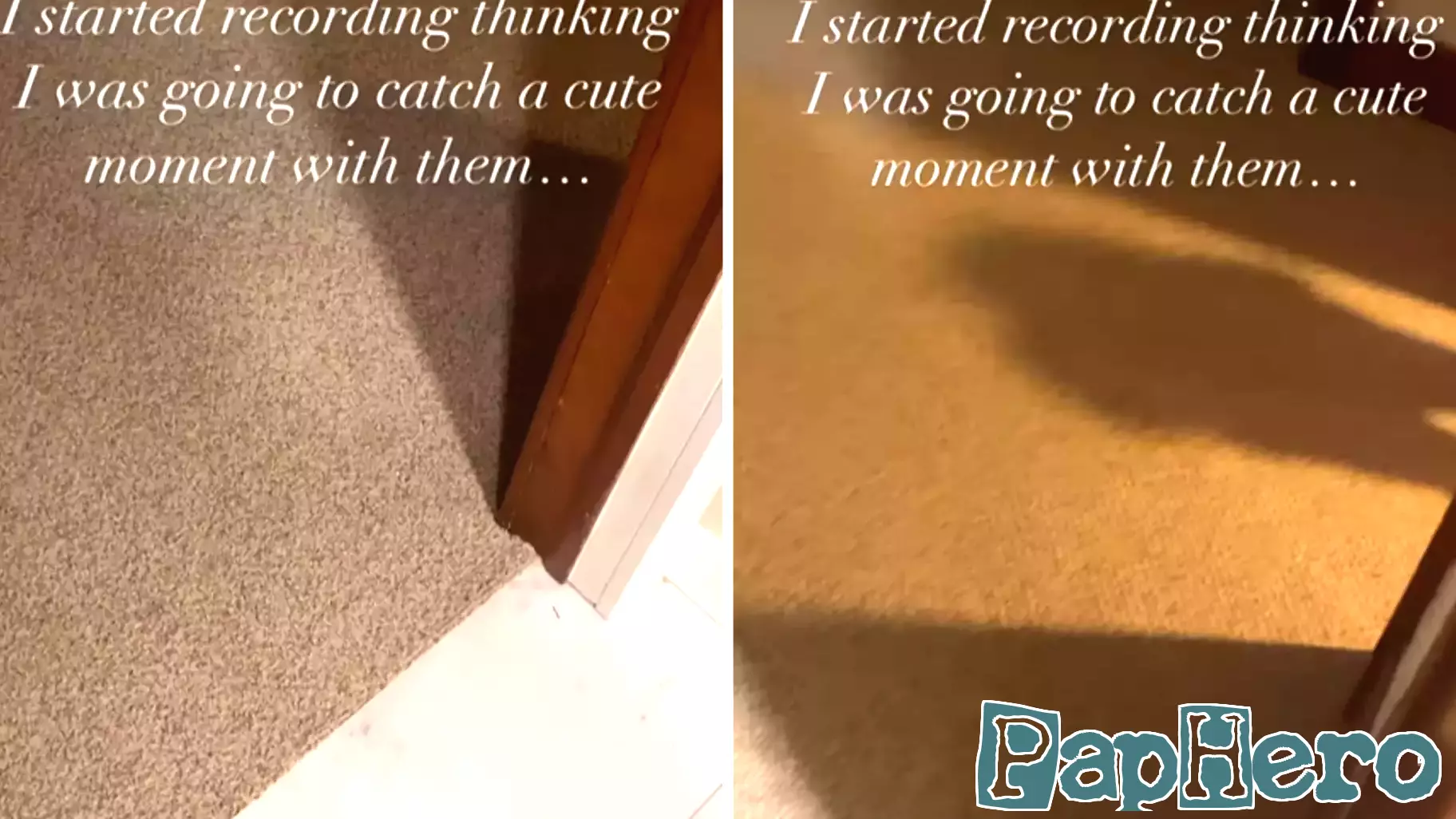 A Mother's Attempt to Capture a Sweet Moment Goes Awry