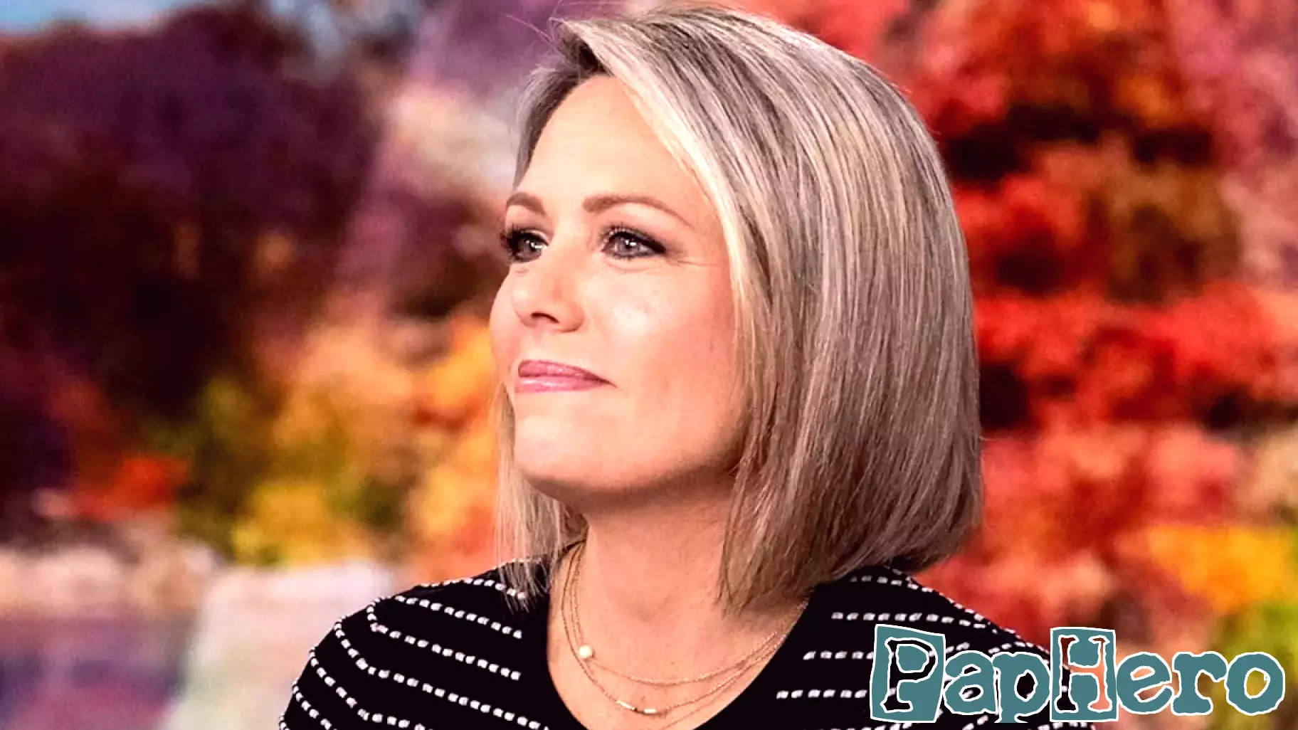 Dylan Dreyer Receives Praise for Co-Parenting After Announcing Separation