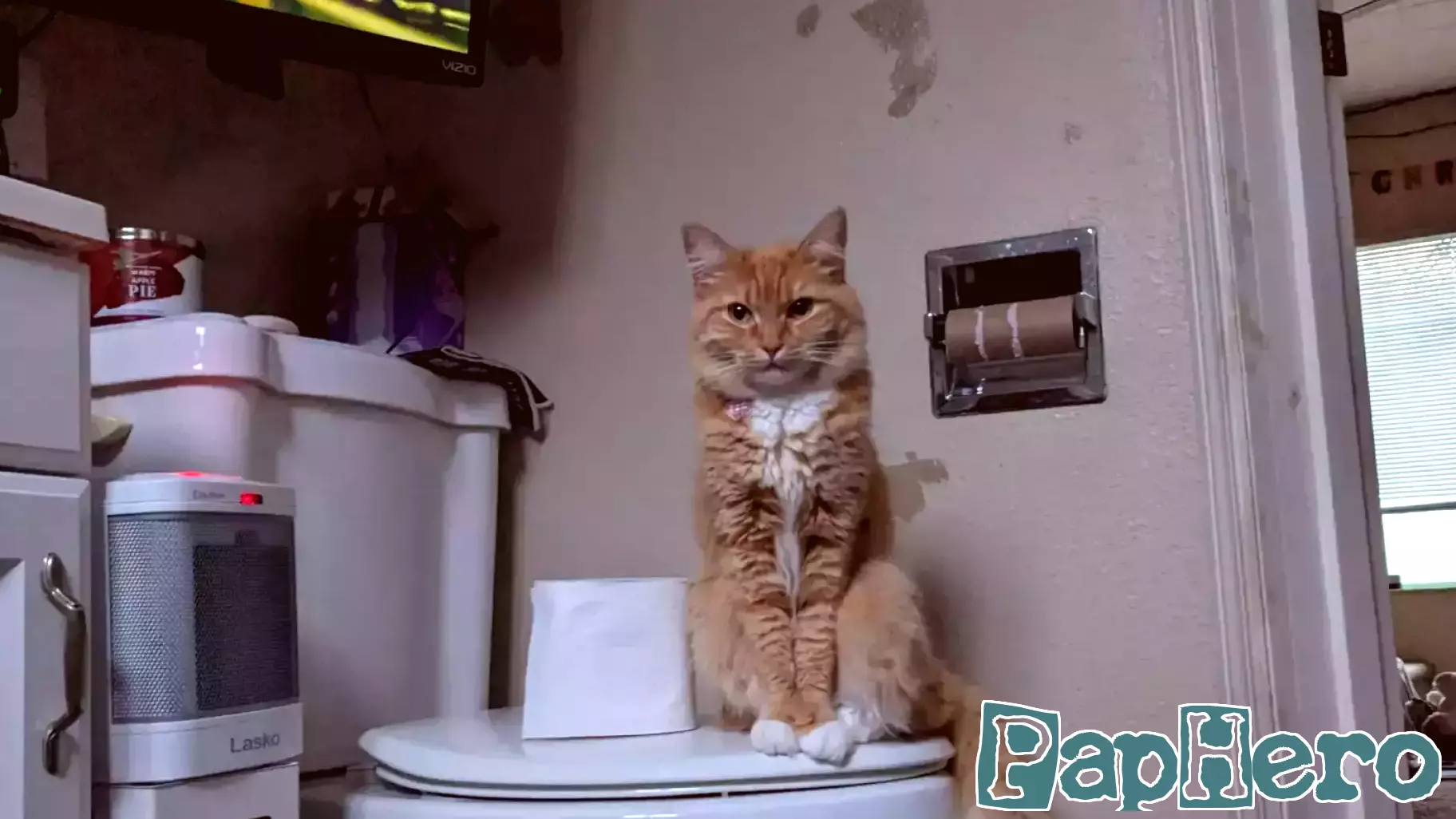 New Parent's Bath Time Surprise: An Unwelcome Visitor