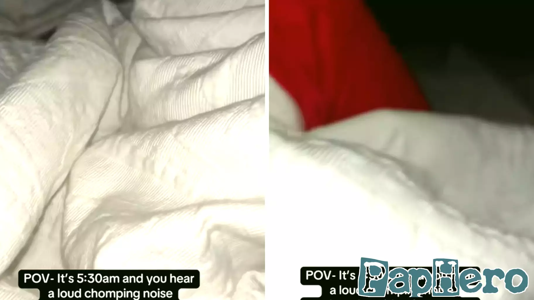 Unexpected Morning Visitor Startles U.K. Mom
