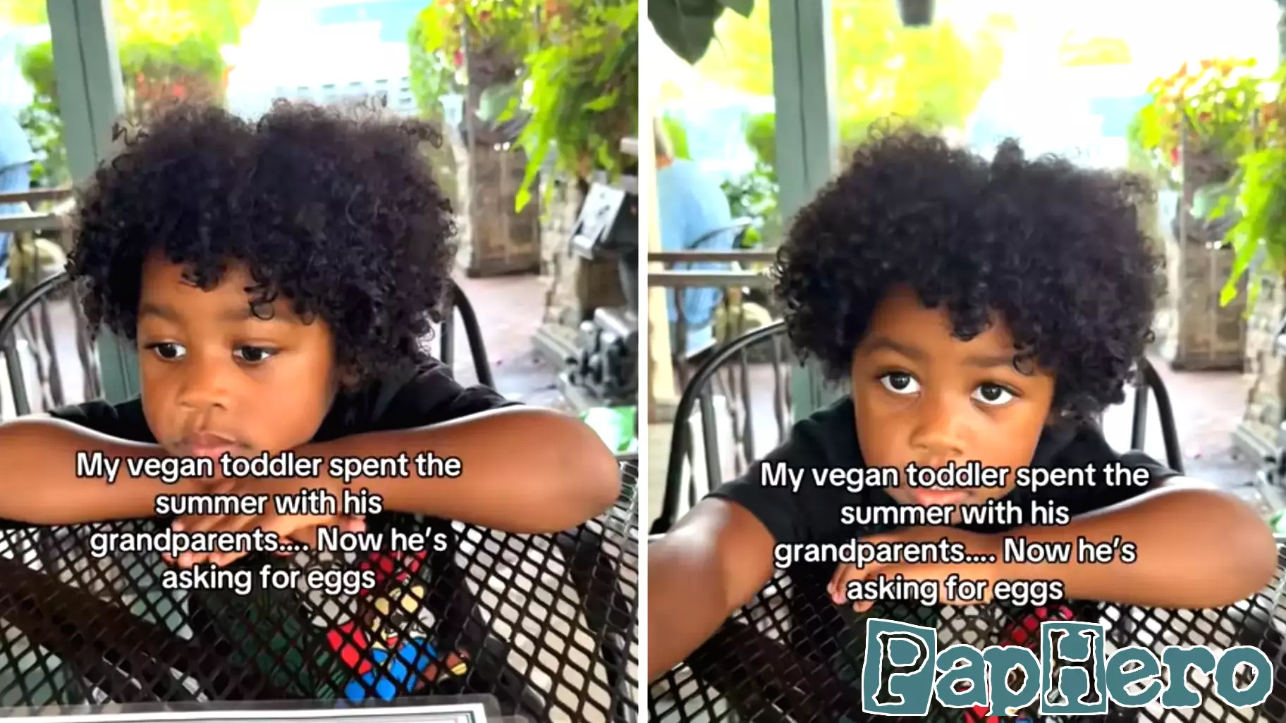 Vegan Toddler's Unique Request After Summer with Grandparents