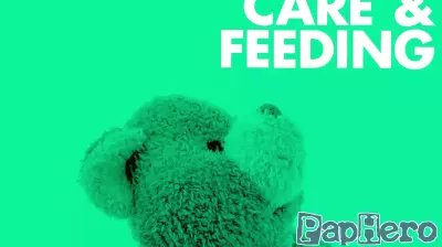 Ensuring Your Home Is a Safe Haven for Your Family