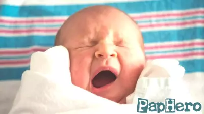 Genetics Significantly Influence Infant Crying Patterns