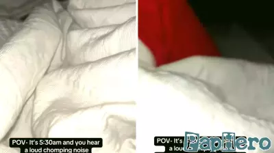 Unexpected Morning Visitor Startles U.K. Mom