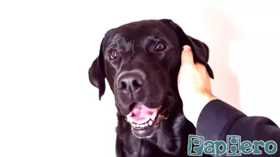 Unexpected Surprise in the Bathtub