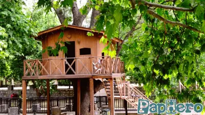 What building a treehouse taught me about parenting